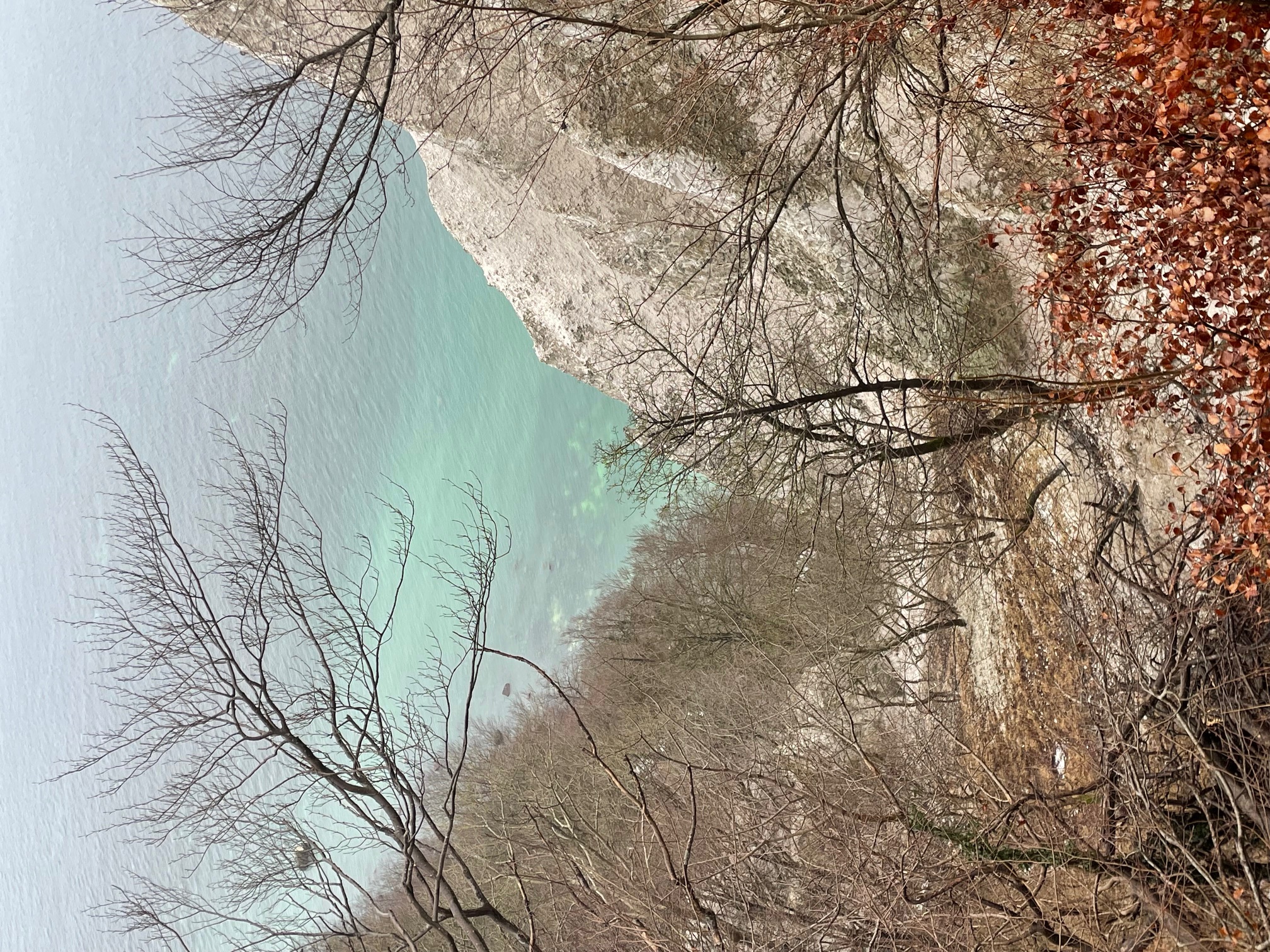 Königsstuhl Rügen und Nationalparkzentrum