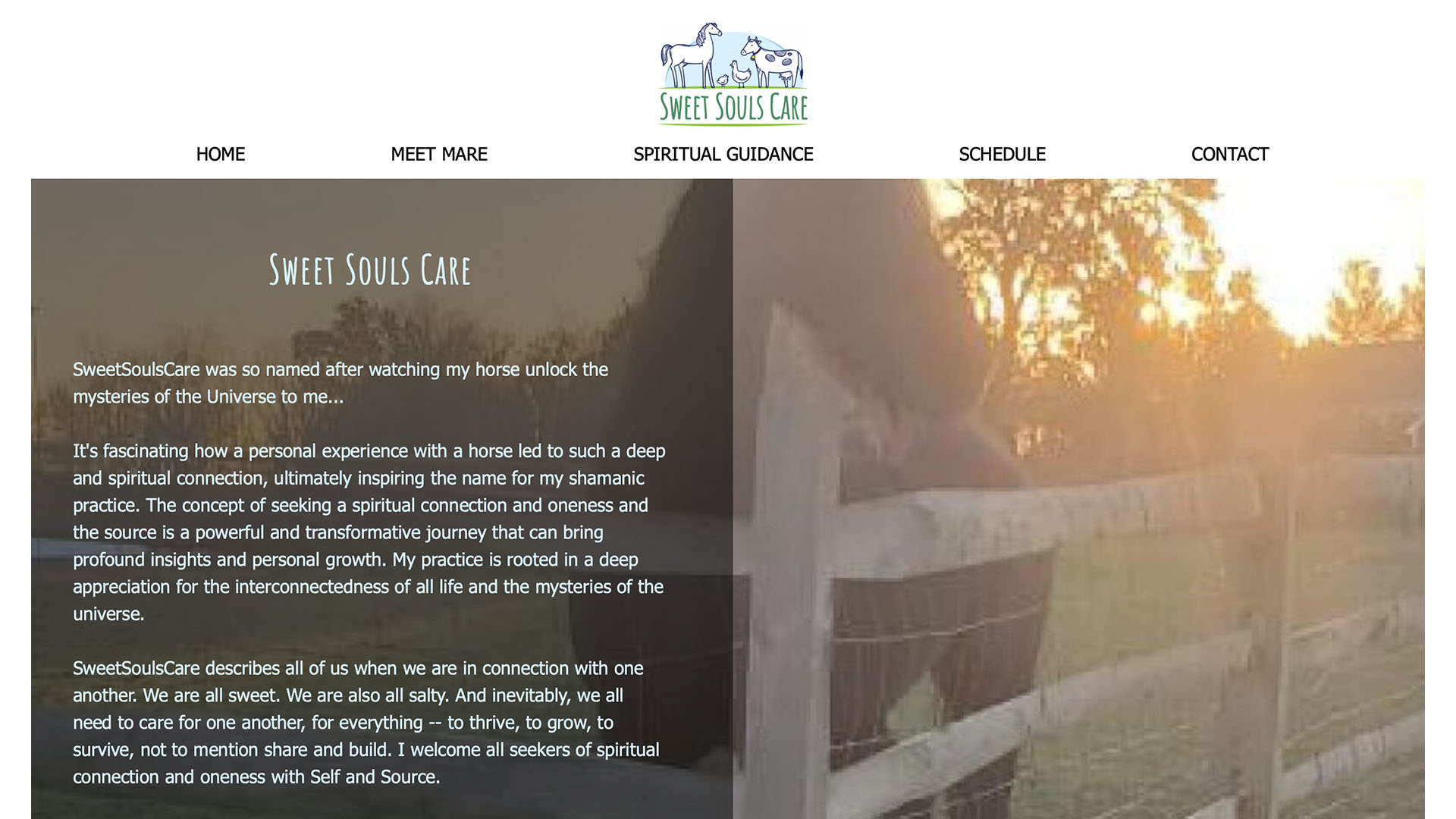 Homepage of Sweet Souls Care, a spiritual wellness and healing service.