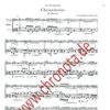 CE 1201 Schittino, Joe CHRONOTATION  für Oboe JS 300  www.chronota.de