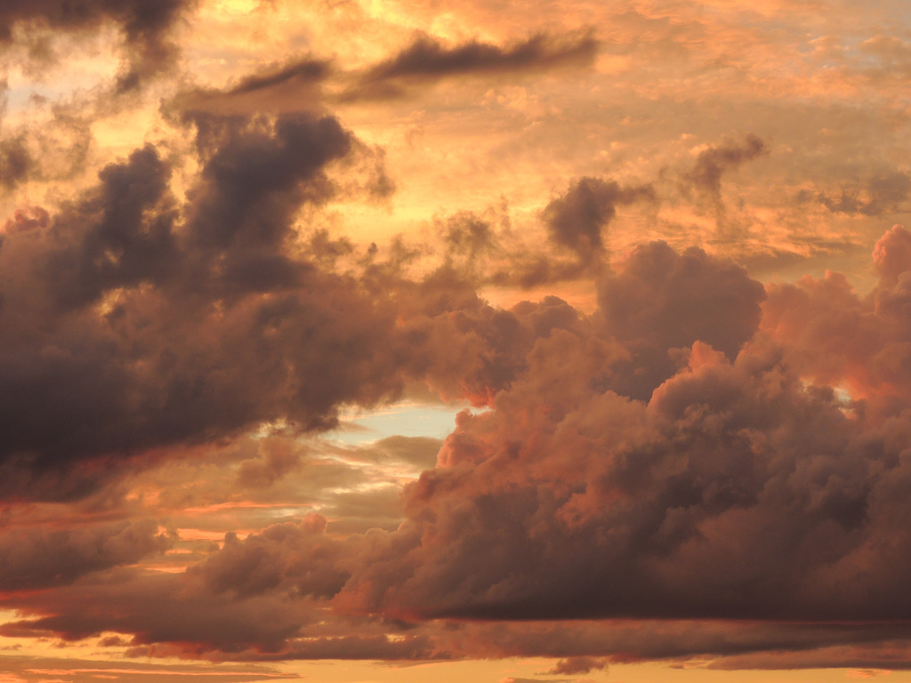 Ein Diamantring aus Asche - Diamantbestattung in Hamburg