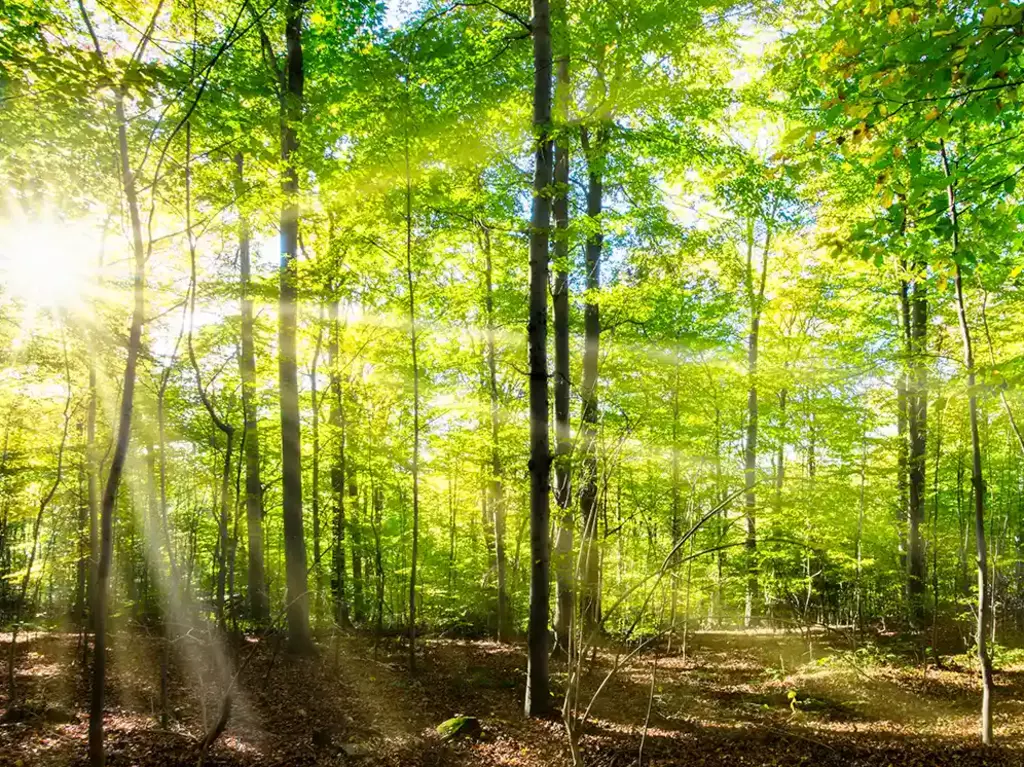 Seebestattungen auf Gran Canaria