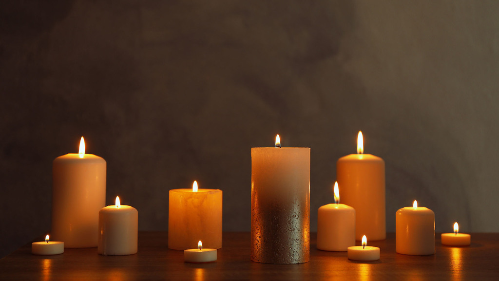 Blumenwiese im warmen Sonnenlicht