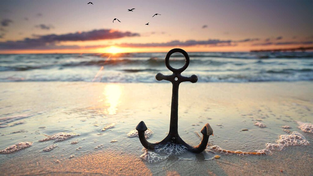 Blumenwiese im warmen Sonnenlicht