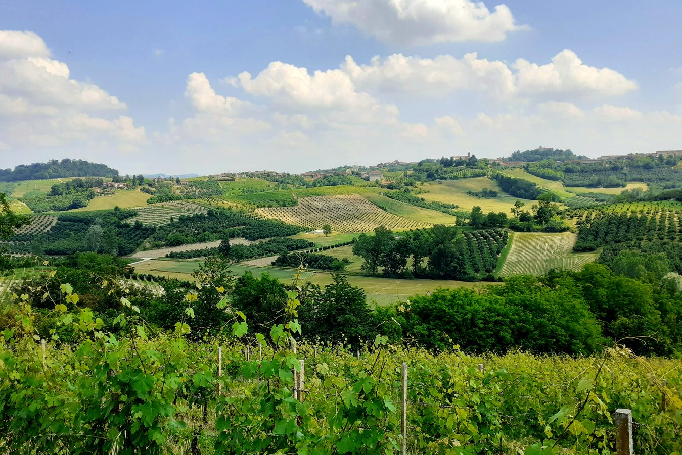 Urlaub im Piemont bei Alba & Barolo in den Weinbergen ...