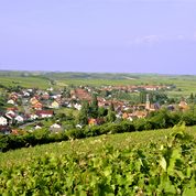 Pleisweiler Oberhofen