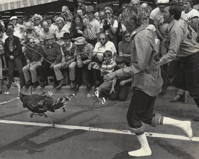 Cuero Turkeyfest - Home of Ruby Begonia