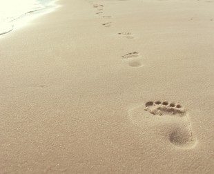 Spuren im Sand