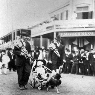 A Man With His Trained Turkey, From The 1912 Cuero Turkey Trot.