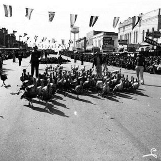 A Scene From The Cuero Turkey Trot On Esplanade Street. The Old Cuero Water Tower Is Pictured In The Background.