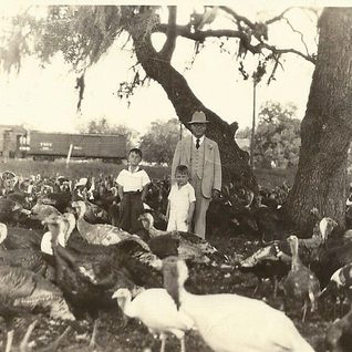 A Scene From The 1934 Cuero Turkey Trot. A Young Joe Reuss Is Pictured On The Left. This Was Taken At The Turkey Holding Pens Where The Birds Would Stage Before The Parade.