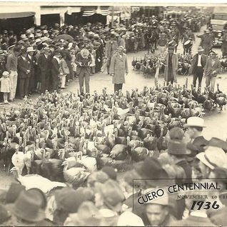 Turkeys Being Herded Downtown During The Parade Of The 1936 Cuero Turkey Trot. Cuero Was Celebrating The Texas Centennial During This Trot.