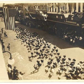 A Parade Of Turkeys From The 1922 Cuero Turkey Trot.