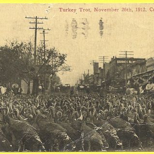 Post Card From The 1912 Cuero Turkey Trot.