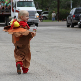 A turkey breaks loose from the flock.
