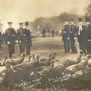 Texas Governor Colquitt And His Staff Along With Cuero Mayor Mugge Inspect A Group Of Birds Before The 1912 Cuero Turkey Trot Parade.