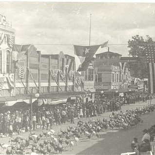 Turkeys Parade In Downtown Cuero In The Famous Turkey Trot.