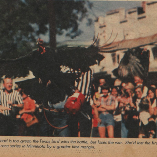 1976: Ruby Begonia Takes Flight During The Second Heat Of The Great Gobbler Gallop In Cuero, Texas. Paycheck Can Be Seen Flying In The Background.
