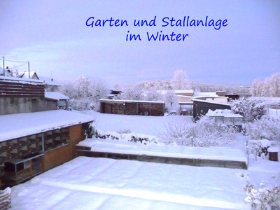 freigehege, stallanlage winter, Freilauf, gras, artgerecht, rassekaninchenzucht, kaninchen