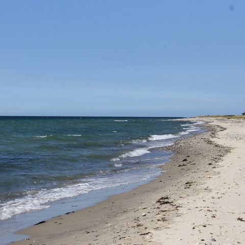 Flügger Strand