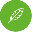 Icon Engelsflügel