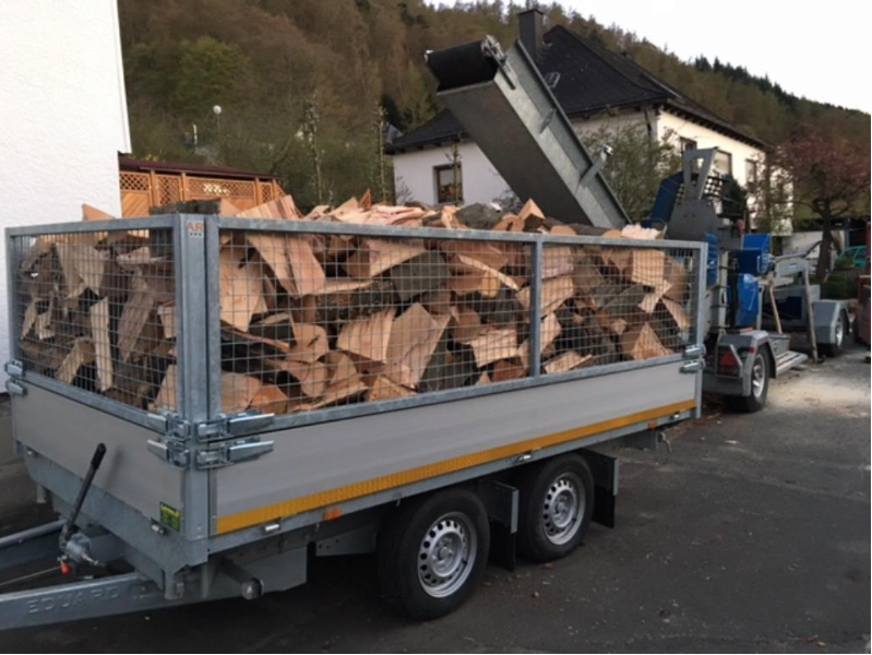 Anhänger mit Brennholz in Dillenburg