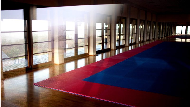 Der Samurai Manager - Impressions from the seminar