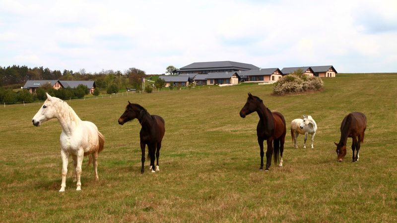 Der Samurai Manager - Impressions from the seminar