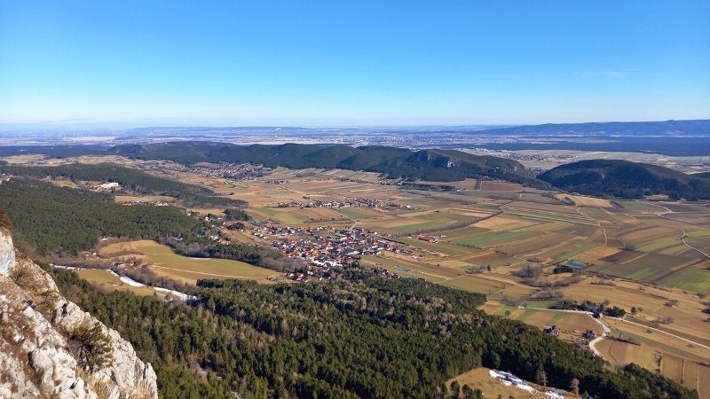 Der Samurai Manager - GreenWell