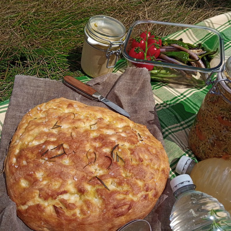 Hide-Seek-Events Picknick, natürlich Feiern, Eventmanagement, Berlin