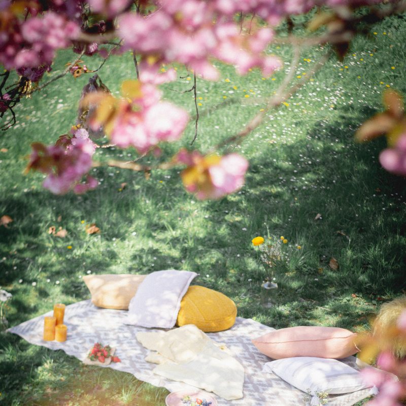 Hide-Seek-Events Picknick, natürlich Feiern, Eventmanagement, Berlin